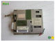 NL3224AC35-06 NEC Medische Ranglcd Monitors, Vervangingslcd het Scherm 5,5 Duim