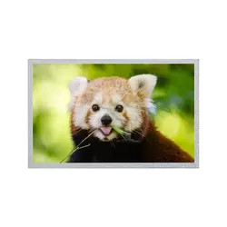 12,1 Duimauo LCD Comité 800*600 G121S1-L02 de Vertoningsmodule van omwenteling C4/van omwenteling C6 TFT LCD