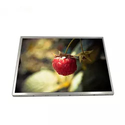 Comité 12,1 van G121SN01 V403 AUO LCD de Module van TFT LCD van Duim800x600 500 Neten